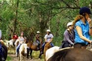 Grampians Horse Riding