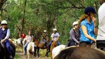 Grampians Horse Riding