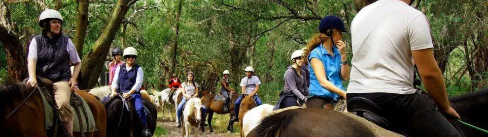 Grampians Horse Riding