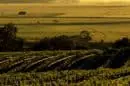 Montara Winery