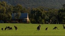 Grampians Chalets