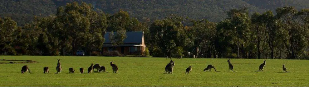 Grampians Chalets