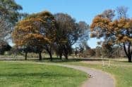 Hamilton Parkrun