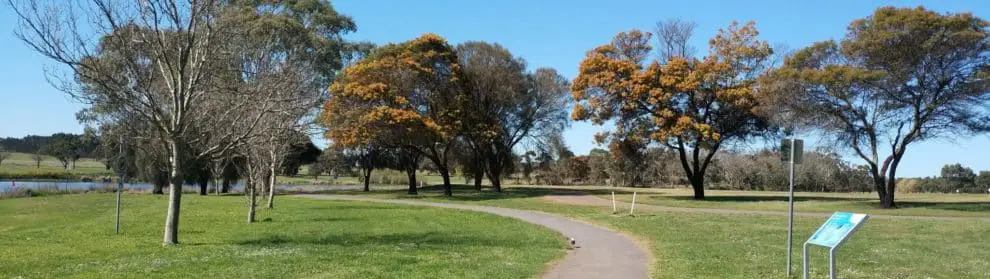 Hamilton Parkrun