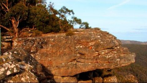 Reeds Lookout