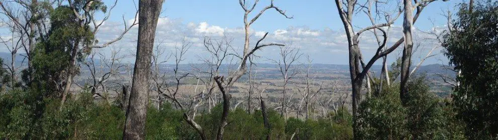 Black Range State Park