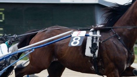 Stawell Trotting Track