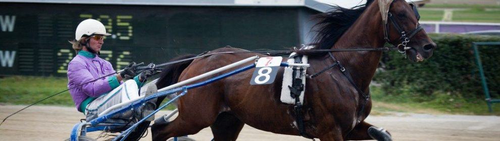 Stawell Trotting Track