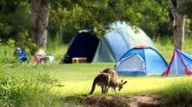 Halls Gap Camping