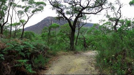 Langi Ghiran State Park