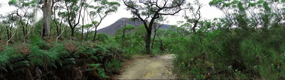 Langi Ghiran State Park