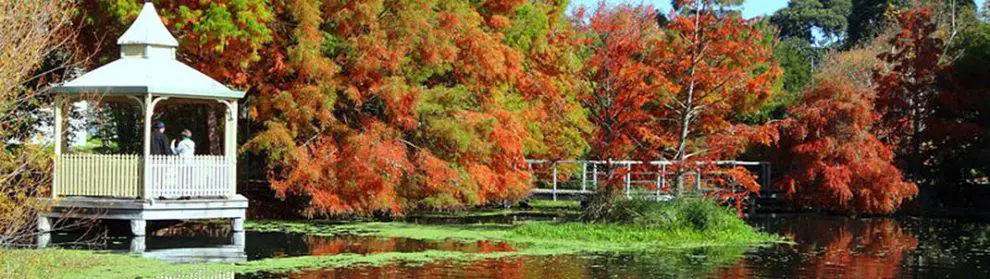 Penshurst Botanic Gardens