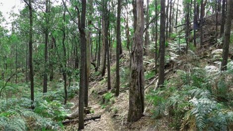 Mount Napier State Park