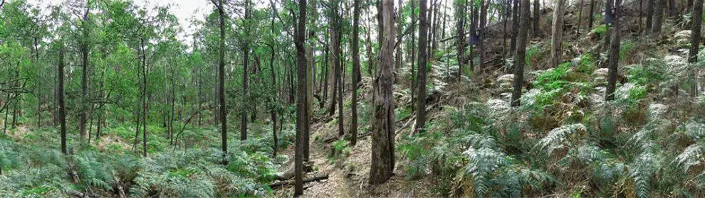 Mount Napier State Park