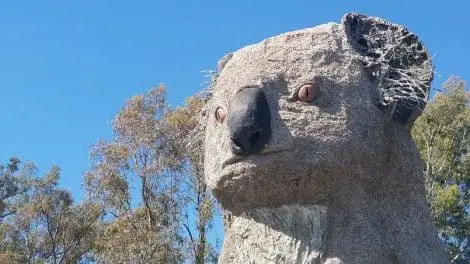 Giant Koala Tourist Complex