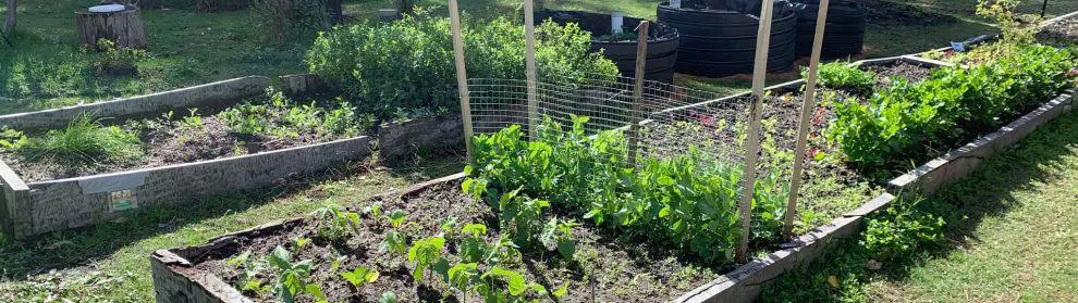 Halls Gap Community Garden