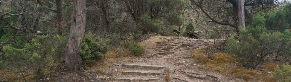 Grampians Valley Lookout