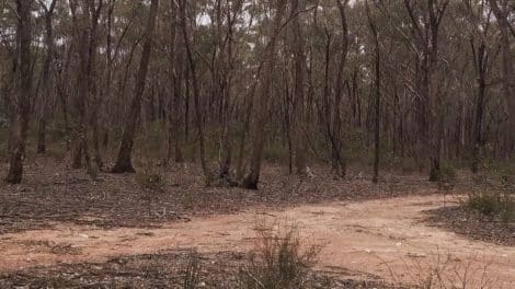 St Arnaud Regional Park