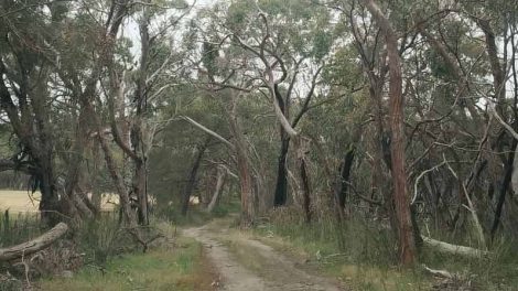 Dundas Range Scenic Reserve