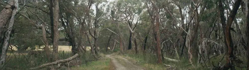 Dundas Range Scenic Reserve