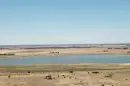 Pine Lake