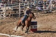 Great Western Rodeo 8